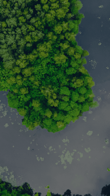 Image without alt